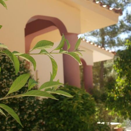 Kefallonia Bay Resort Spartia  Exterior photo